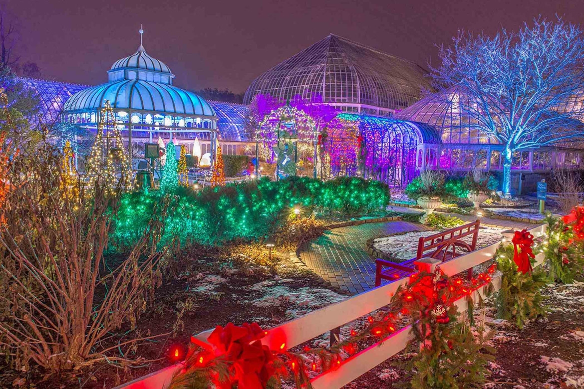 Phipps Winter Light Show Special Package