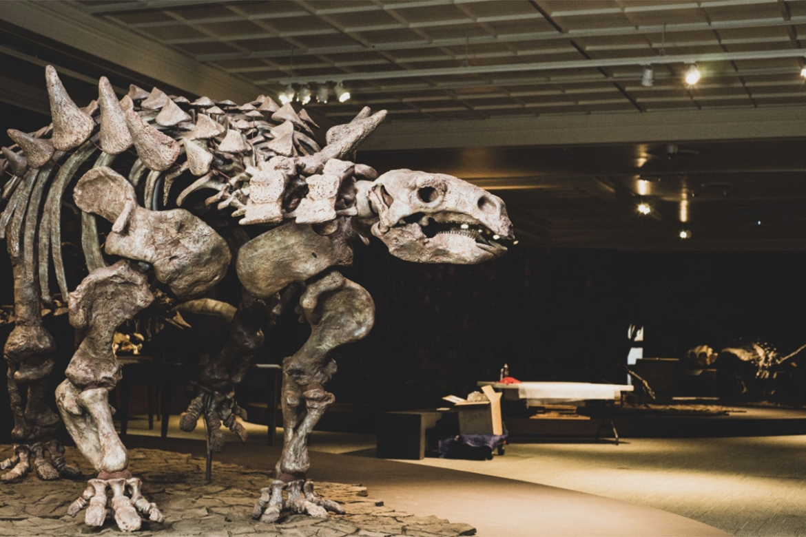 A Trip to the Mesozoic - Dinosaur Armor